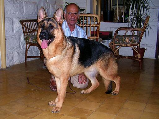 dent&charles jpg.jpg