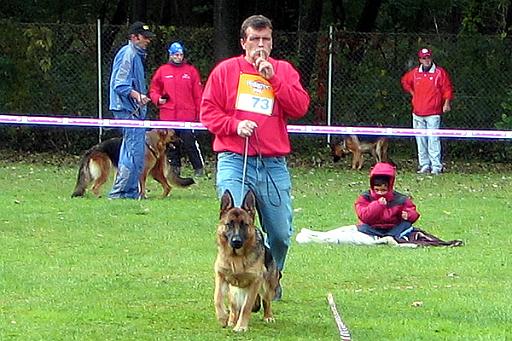 demy slo 1.jpg