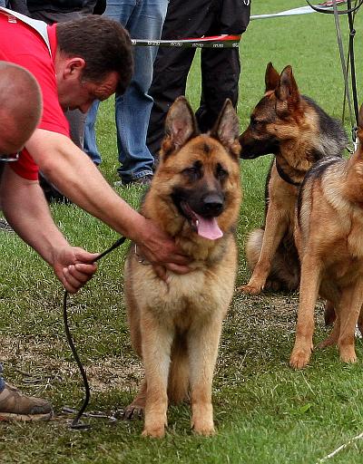 deny brauch 9 jpg.jpg