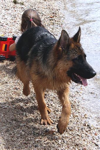 elmo cres 10 jpg.jpg