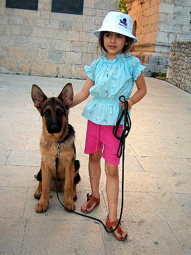 falco 4 months 1 jpg.jpg