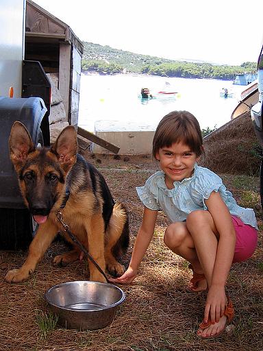 falco 4 months 4 jpg.jpg