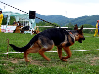 aska